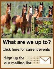 Join Our Mailing List